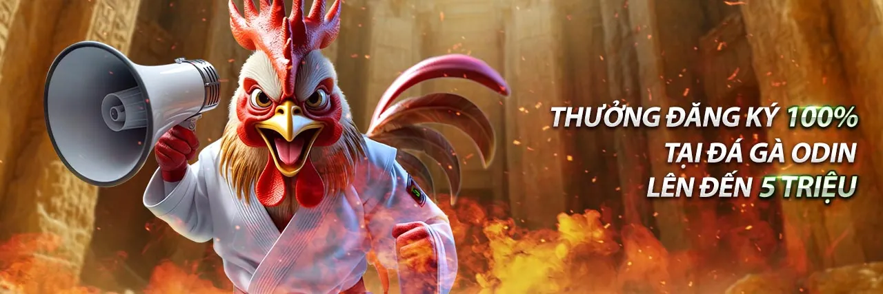 Hình ảnh đại diện cho trang Câu hỏi thường gặp của 98wn45 đăng nhập